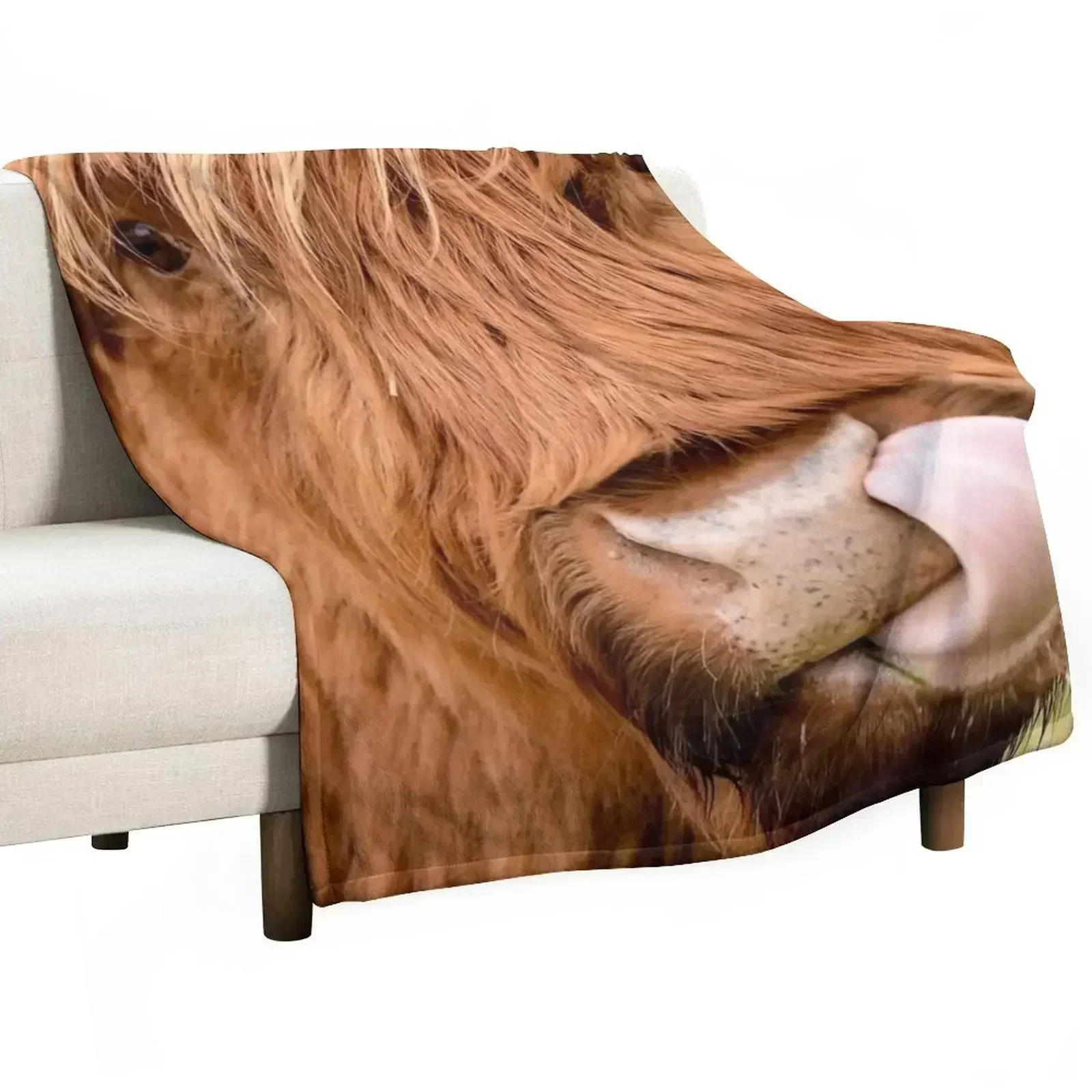 Tasty, the highland cow Throw Blanket Stain Resistant Cozy Warm Blanket