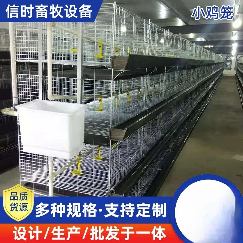 Customized chick brooding cage bold encryption chick breeding cage 4 layers 4 doors chick dewarming cage automation equipment
