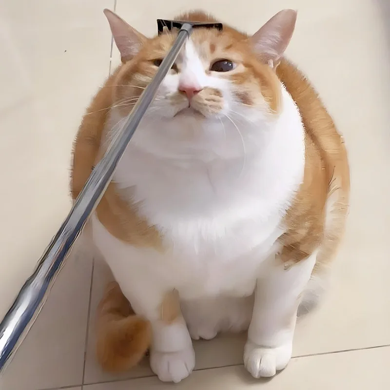 

Retractable Cat Wand Toy Long Pole Scratching Massage Stick Interactive Play Tool Self-Happy Relief Accessory Kitten