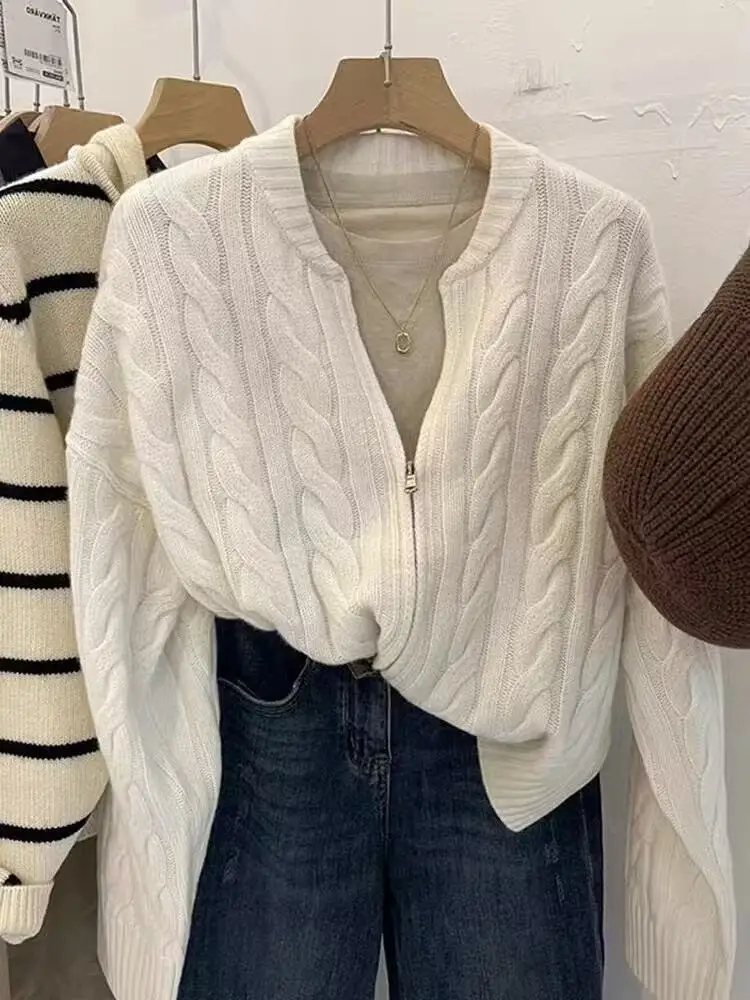 

Вязаный кардиган большого размера для женщин: свободный крой, осенне-зимняя верхняя одежда с молнией и узором «косы» для полных женщин