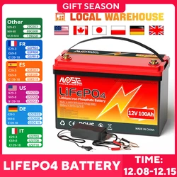 LiFePO4 Battery 12V 50Ah 100Ah 200Ah 300Ah 24V 36V 48V Phosphate Rechargeable Battery Built in BMS 4000+ Deep Cycles For Scooter