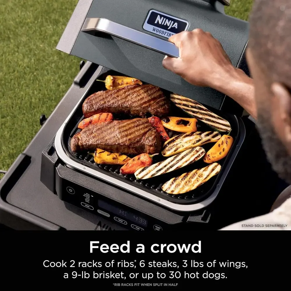 6-in-1 Outdoor Grill and Smoker: Multifunction Cooking with Authentic Wood Flavor, Electric Heat, Model OG321