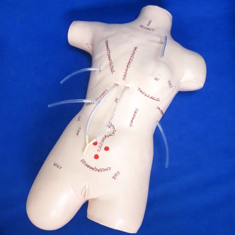 Surgical Dummy Suture And Bandage Teaching Model,Nursing Skills Manikin