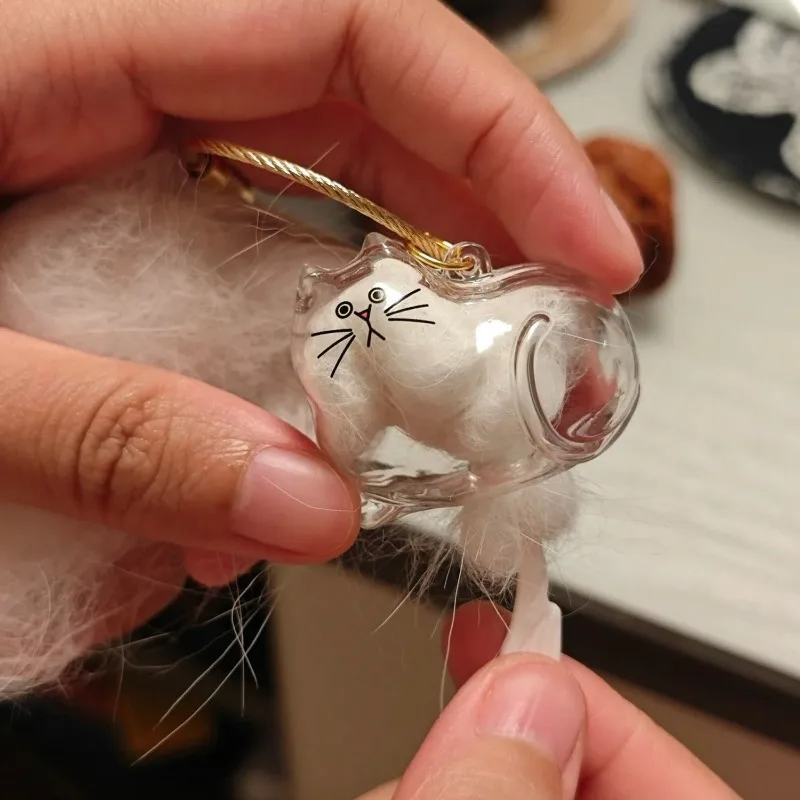 1/6 قطعة الاكريليك القط الشعر سلسلة مفاتيح تذكارية شفافة الحيوانات الأليفة الفراء صندوق تخزين تذكار قلادة هدية للحيوان معلقة الديكور #5