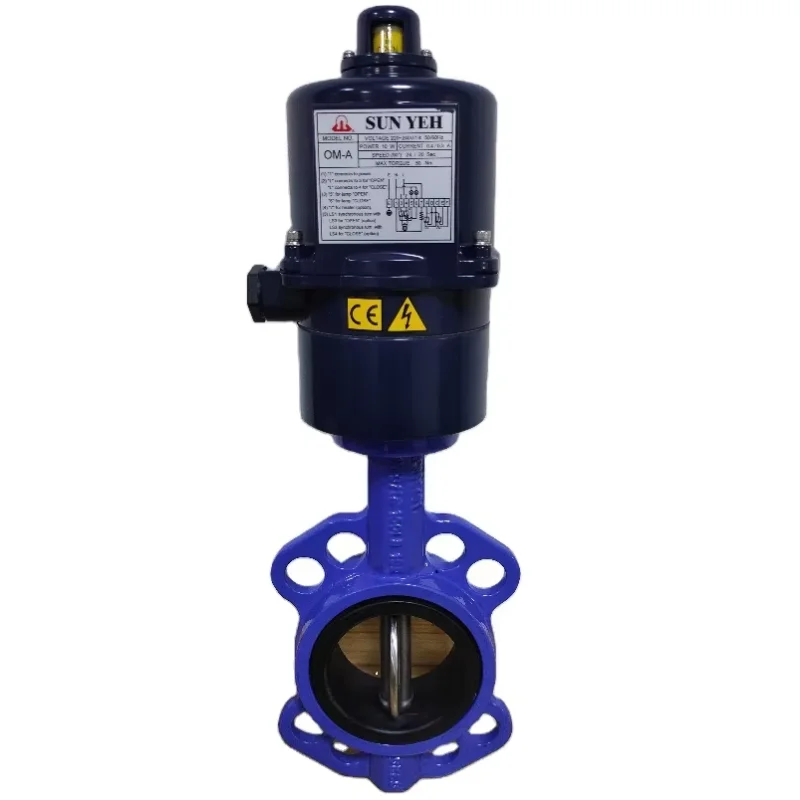 Custom 2-inch 4-inch 2-Way 24V Electric Valve Motorized Valve