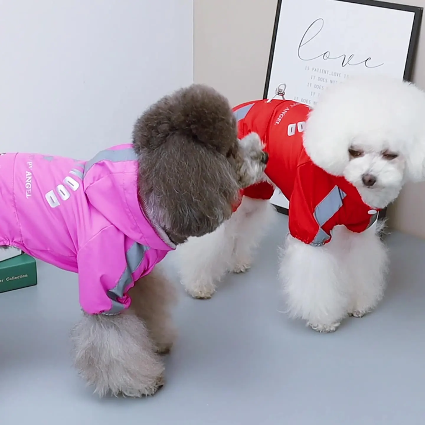 

Dog Raincoat Four Leg Waterproof Clothing for Dog Rainwear Puppy Bichon Maltese Poodle SYorkie Chnauzer Pomeranian Clothes Coat