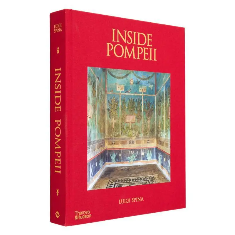 

Inside Pompeii Luigi Spina Fondation Cartier 9780500027301 Book