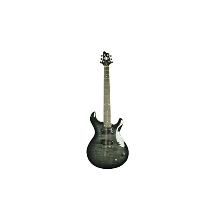 Guitarra Eléctrica de Cuerpo Sólido de 6 Cuerdas IP-350 TBK PRS, Color Negro Trans