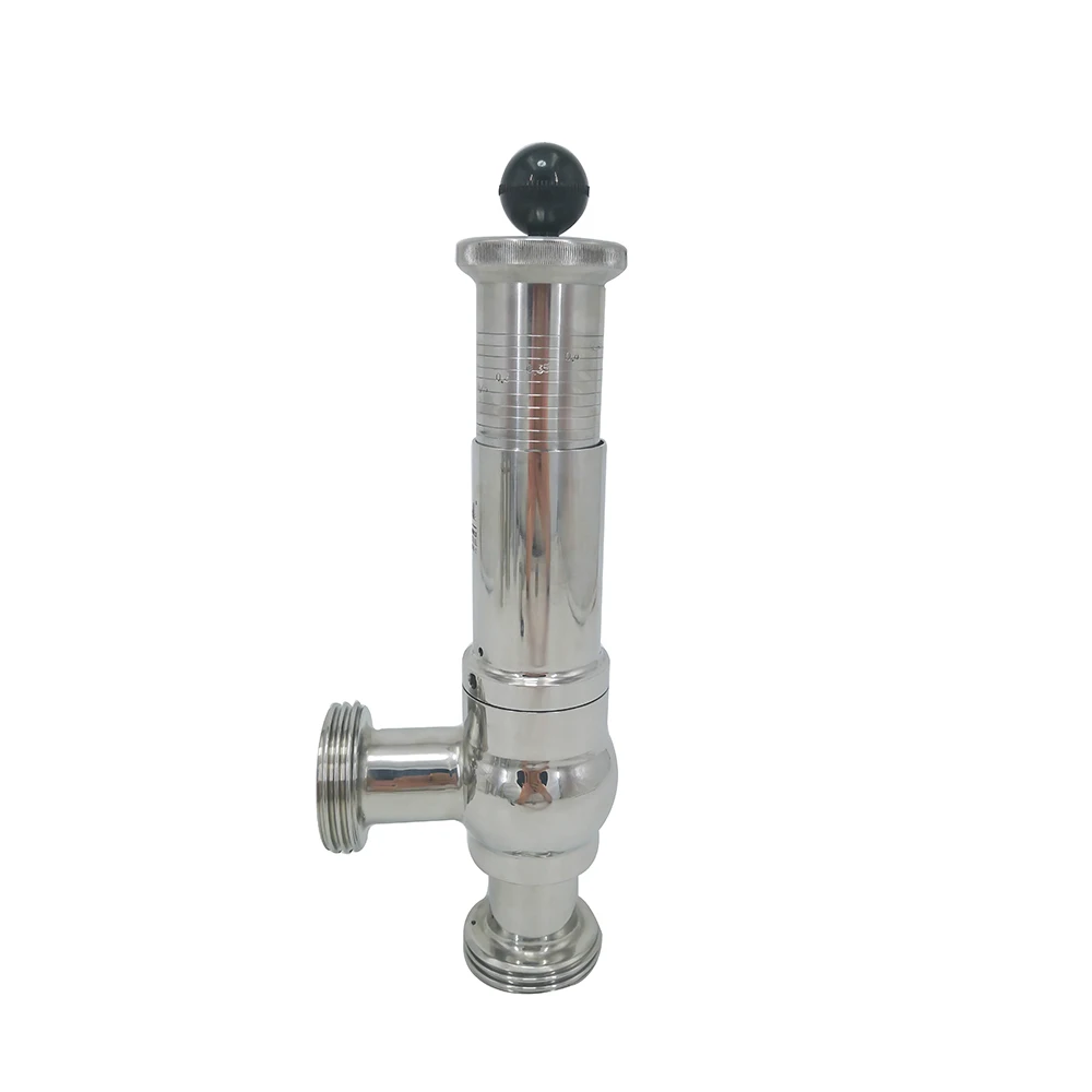 

Sanitary Grade Scale Adjustable 25.4MM 1Inch Male Threaded End SS316L Stainless Steel Safety Valves for the Gas and Oil Industry