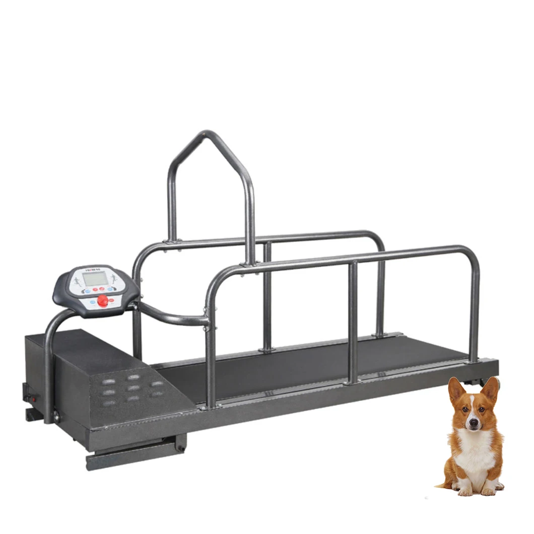 

China Manufacturer Veterinary Equipment Vet Electric Machine Pet Treadmill For Dogs