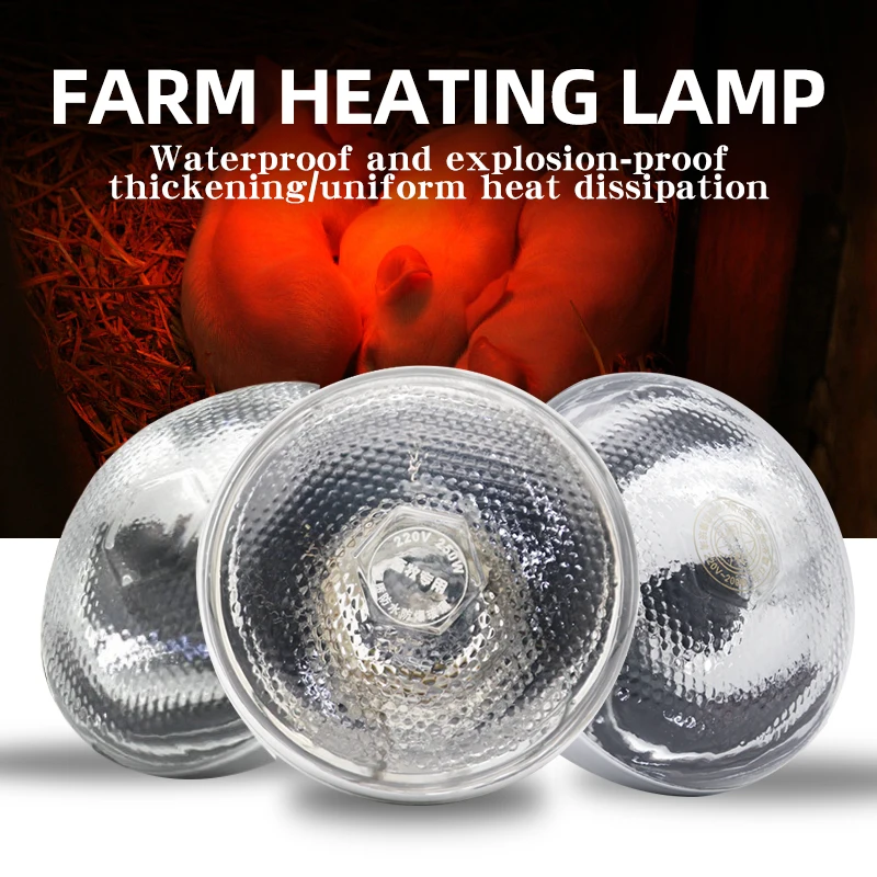 Poultry Brooder Heat Bulb 3