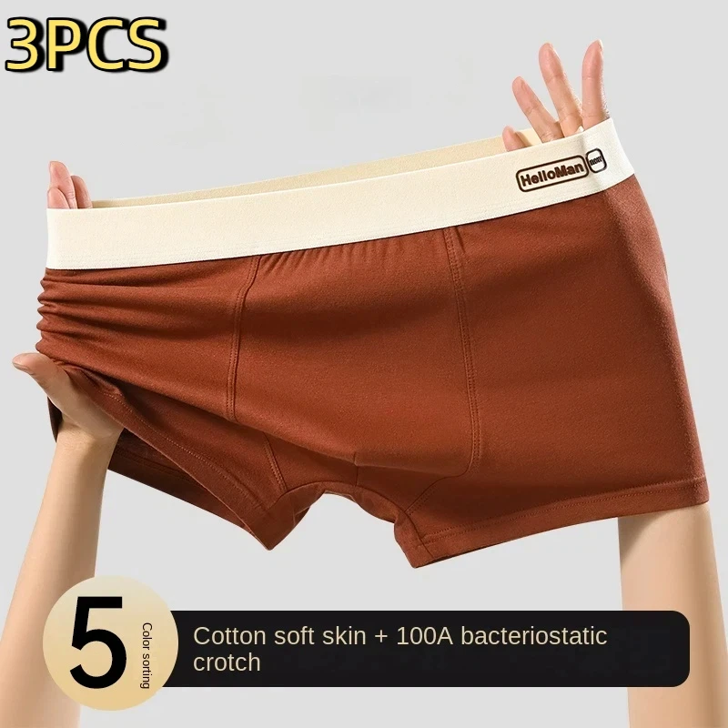 3PCS Cotton Breathable Man Boxer Shorts Men Boxers and Underpants Gifts for Men Underwear Male Boxer Briefs Men's Panties