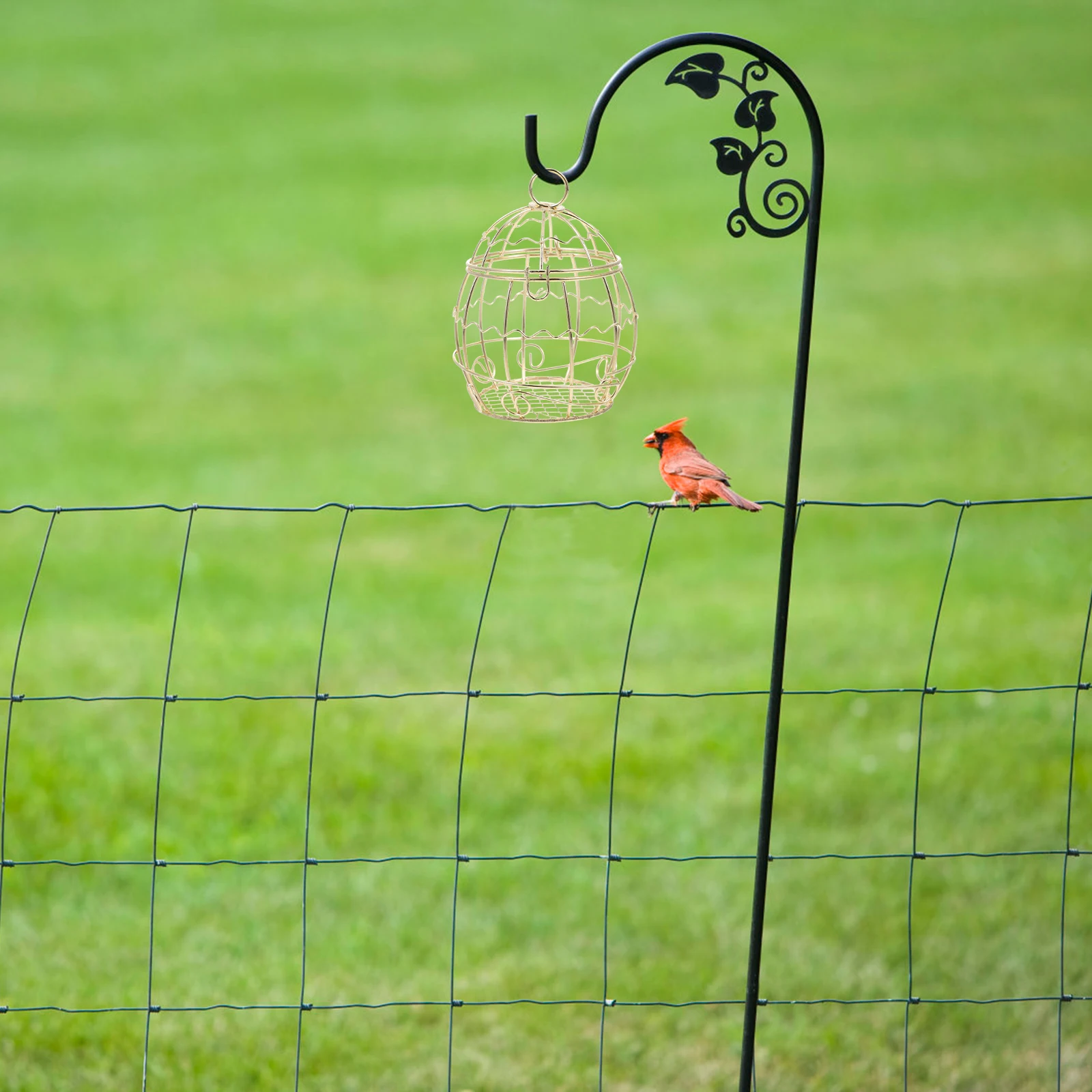 

3Pcs Outdoor Suet Feeder for Bird Garden Hanging Suet Balls Holder Washable Decorative Wild Bird Feeder Container