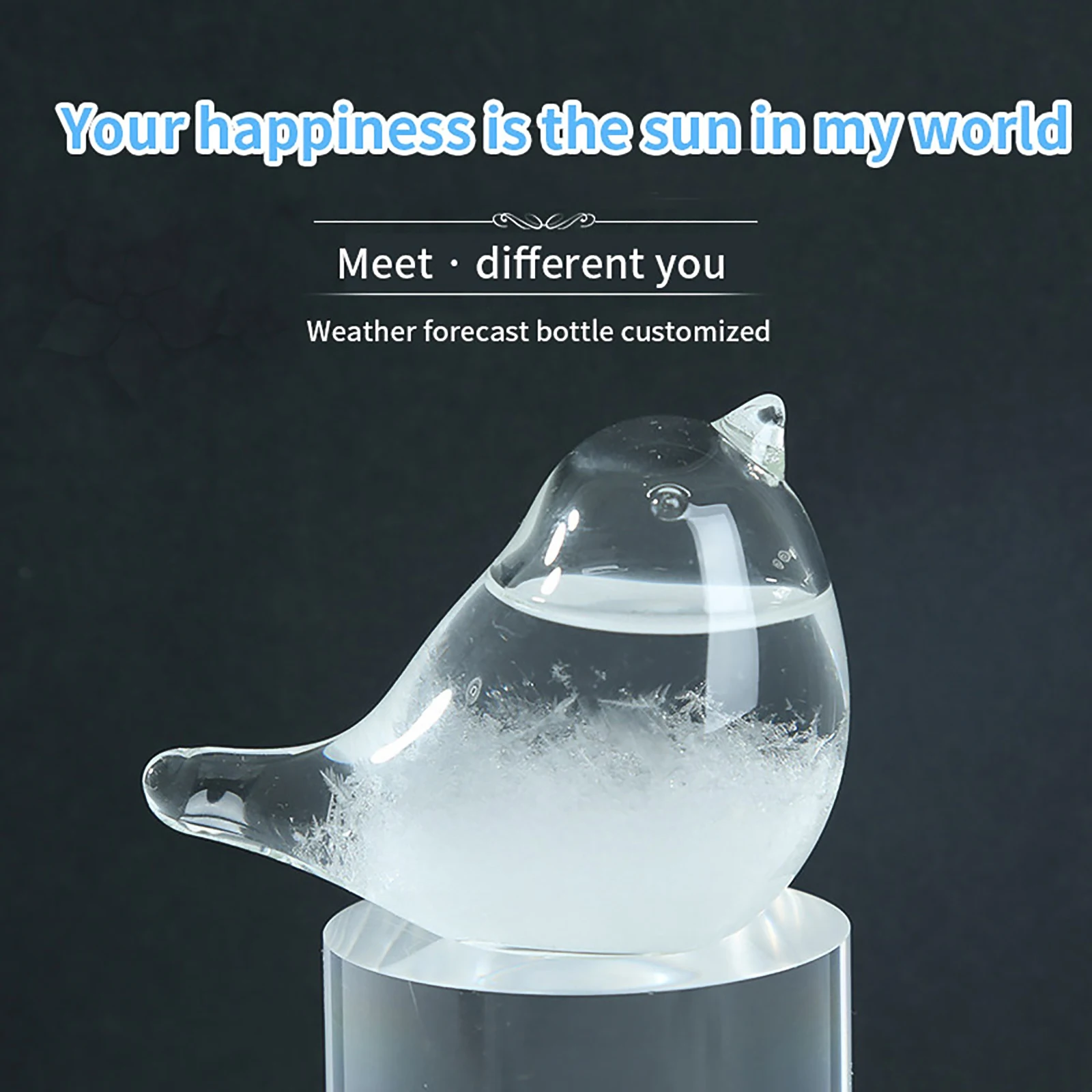 Storm Glass Bottle Barometer Bottles Weather Forecast Stylish Desktop Home Decor Water Drop Weather Station Valentine'S Day Gift