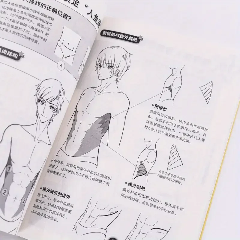 Anime Drawing Techniques: Structural Proportions - Beginner's Guide, Chinese Version