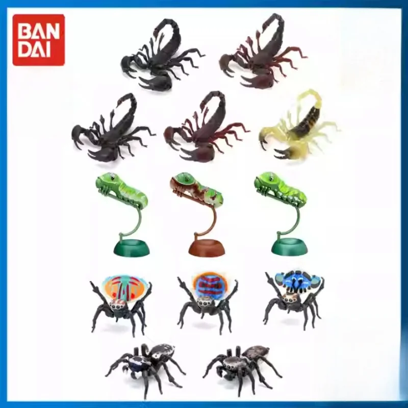 Original Bandai Big Biological Map Spider Caterpilla Gashapon Qversion Movable Insect Action Figure Model Toys Gifts Collection