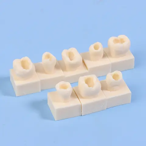 8pcs/Kit 치과 후방 학생 훈련 테스트 모델 연습 복합 수지 충전 치아 턱 치과 장비