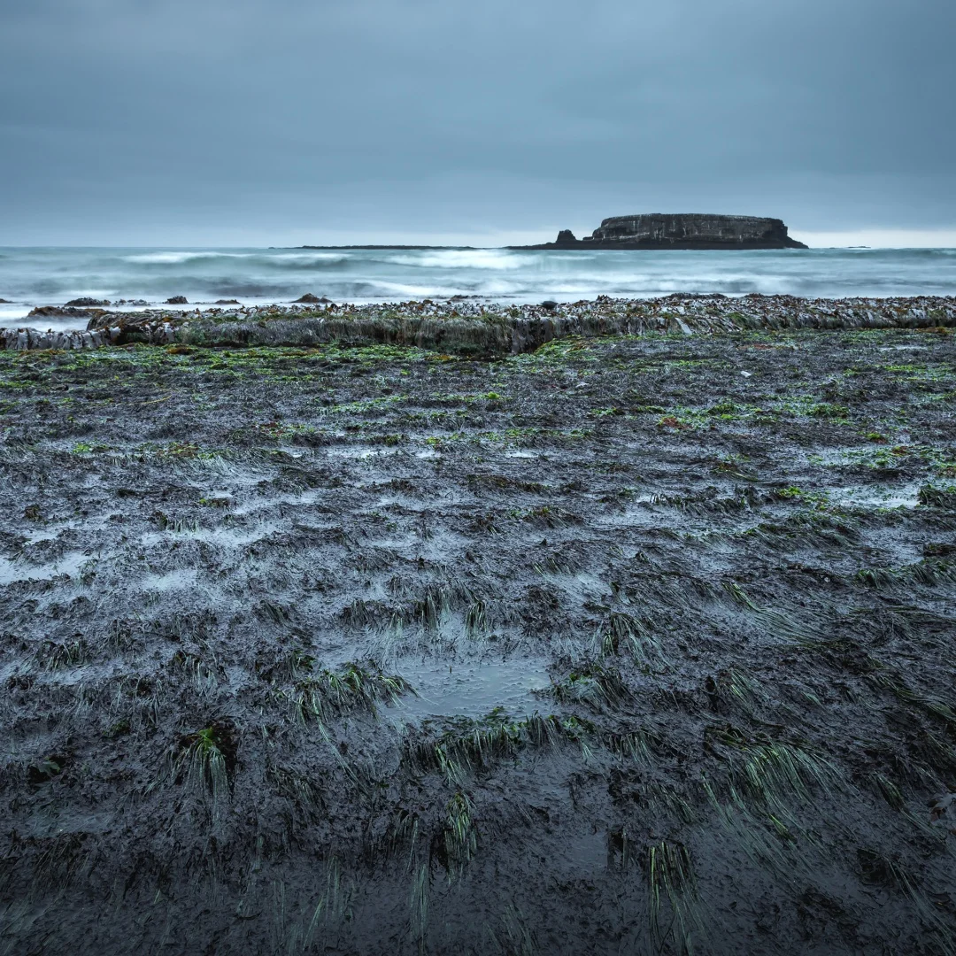 

12,1-дюймовый автомобильный радиоприемник Qualcomm Android 13 для Ford Ranger Everest 2015-2020 гг. | Беспроводной головной блок CarPlay GPS Navi с сенсорным экраном DSP