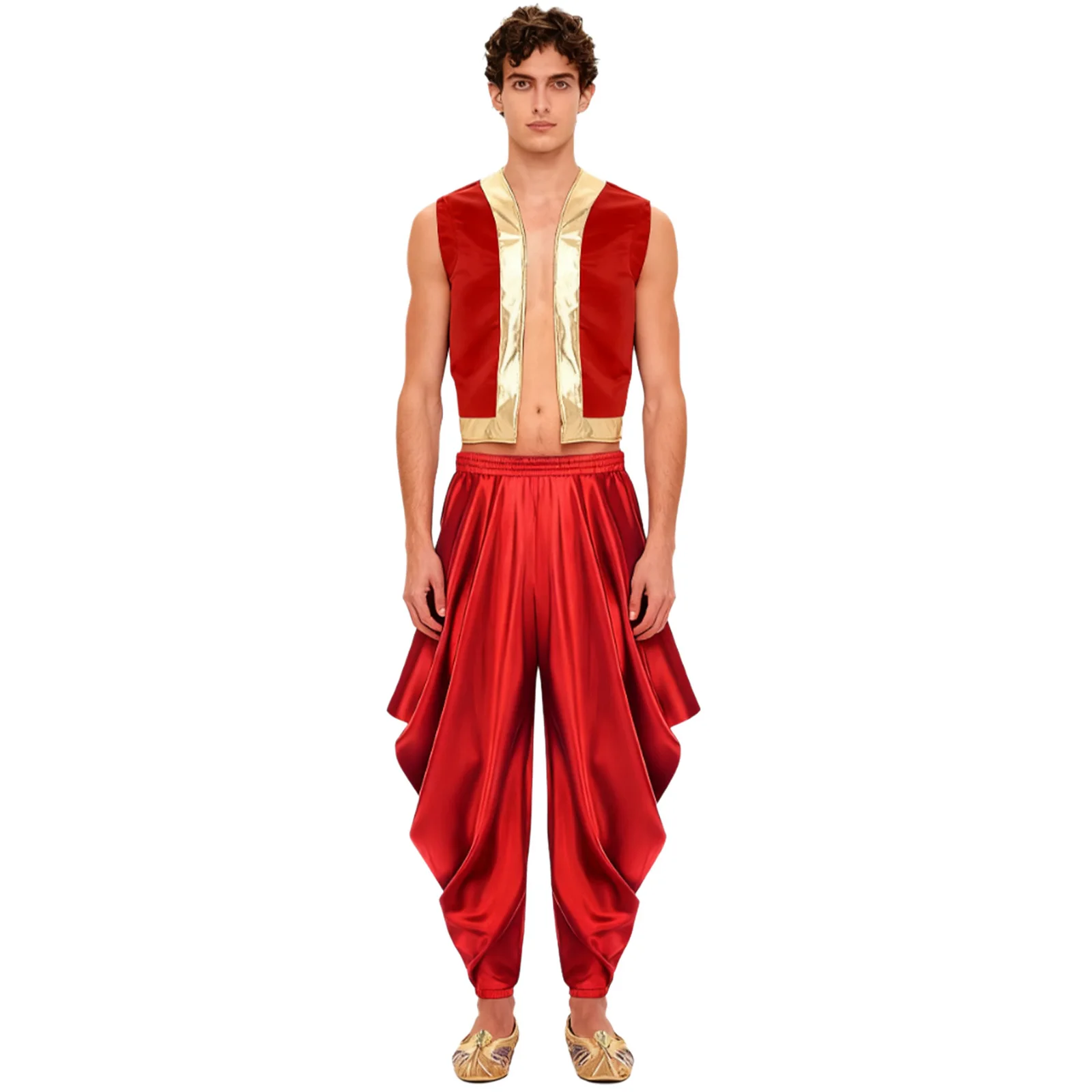 

Adult Men Medieval Renaissance Vest with Harem Pants for Halloween Festival Arab Indian Prince Cosplay Dance Performance Costume
