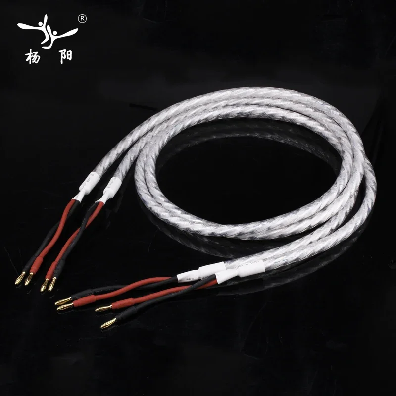 YYAUDIO One Pair LITON HIFI Speaker Cable HI-End Amplifier 6N OFC Hi-end Hifi Speaker Cable With Banana Plugs