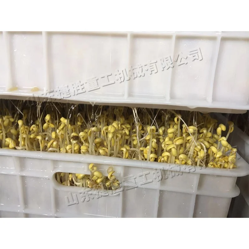 Constant Temperature Soybean Mung Bean Sprouting Machine Small Automatic Bean Sprout Machine