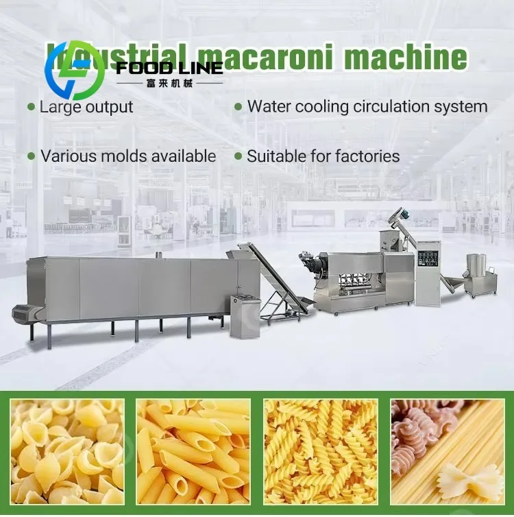 Complete Pasta Plant 500kg h with Extruder Cutter Dryer for Spaghetti Macaroni Noodle Processing Factory Customize