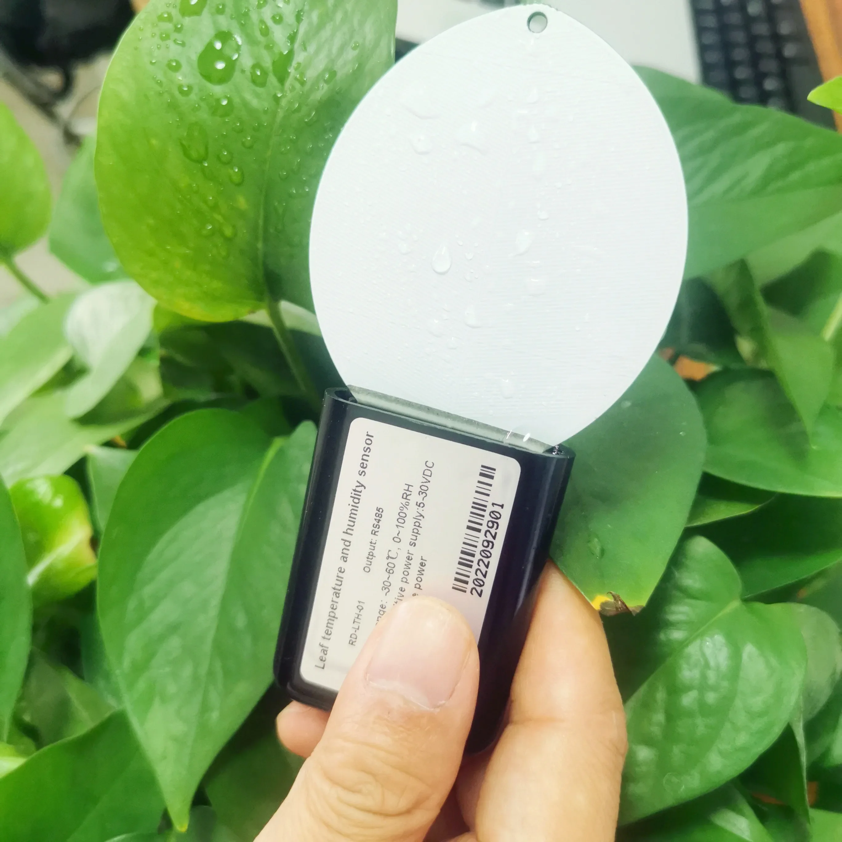 Server Software Lora Lorawan 2 In 1 Rs485 Digital Output Leaf Humidity And Temperature Sensor