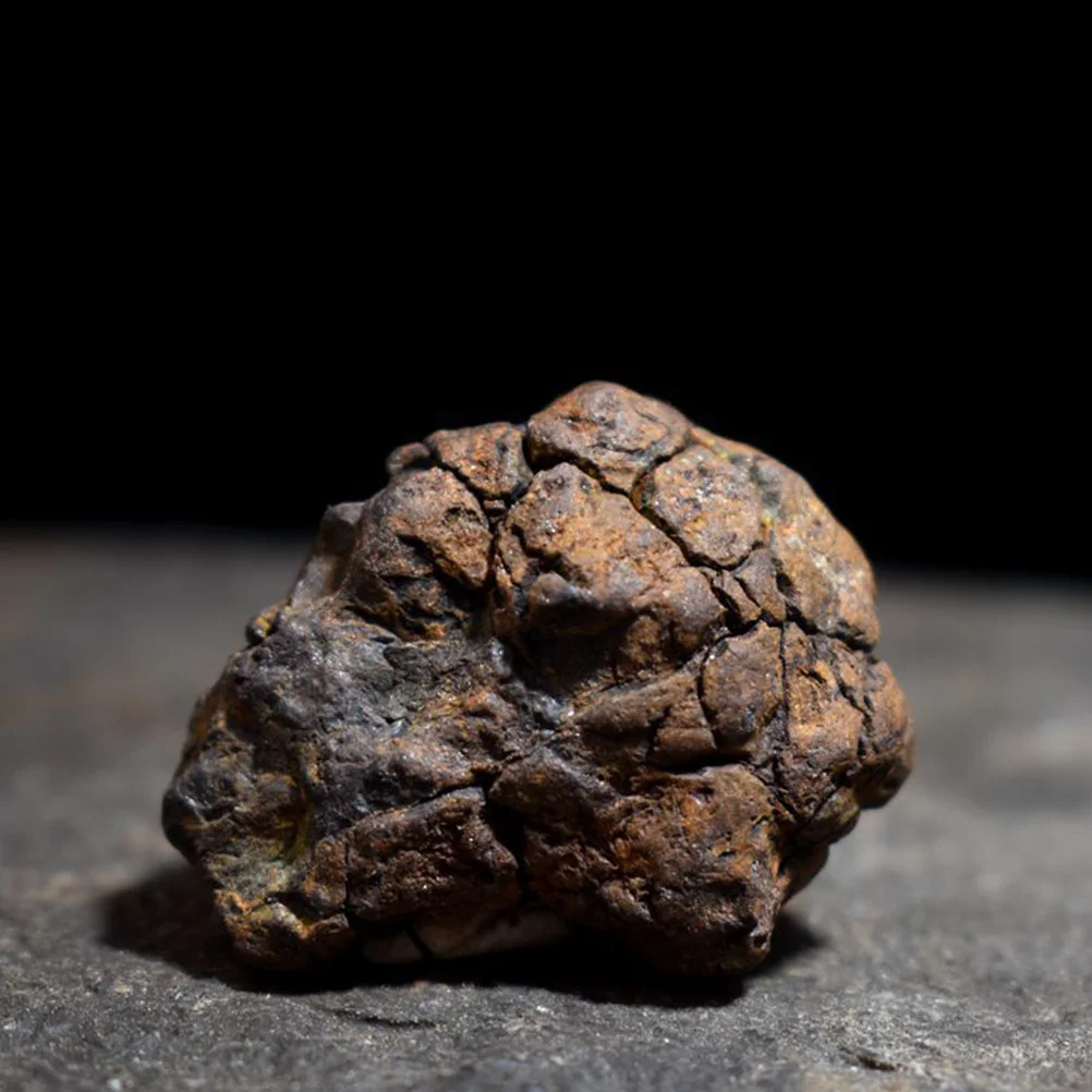 

Stone Iron Meteorite Specimen Educational Plaything Adornment