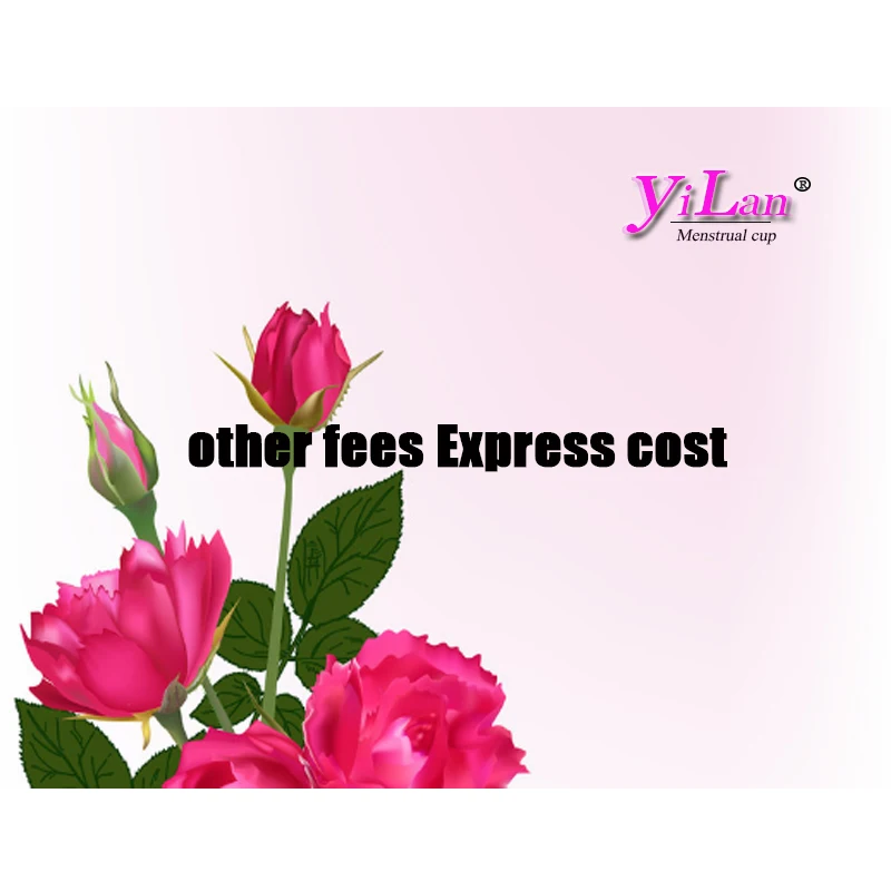 

другие сборы Стоимость экспресс-доставки