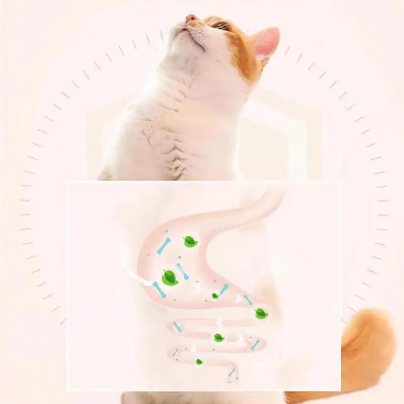 Rotatable Cat Licking Balls Edible And Healthy With Spring Ball Catnip Bubbles Lickables For Indoor Cats Catnip Ball toy