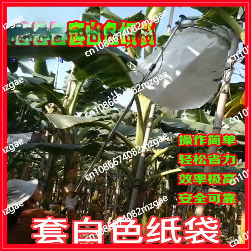 

Устройство для упаковки бананов из нержавеющей стали