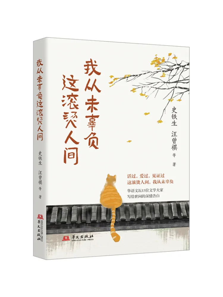 Book-Winshare I Have Never Let This Scorching World Down