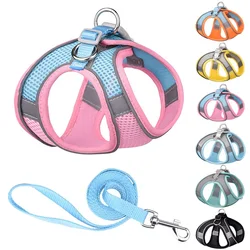 Conjunto de correa de arnés para perro pequeño, chaleco ajustable para cachorro y gato, Bulldog Francés, Chihuahua, Pug, correa de plomo para caminar al aire libre