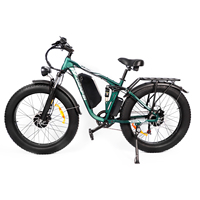Baolujie DP-2603  Dual motor Adult Electric Bicycle Urban E-Bike 26\