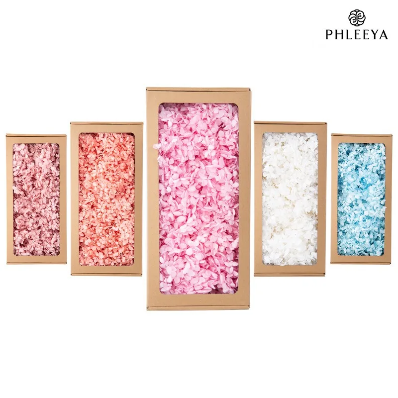 #8 Trending Dried Flowers Right Now