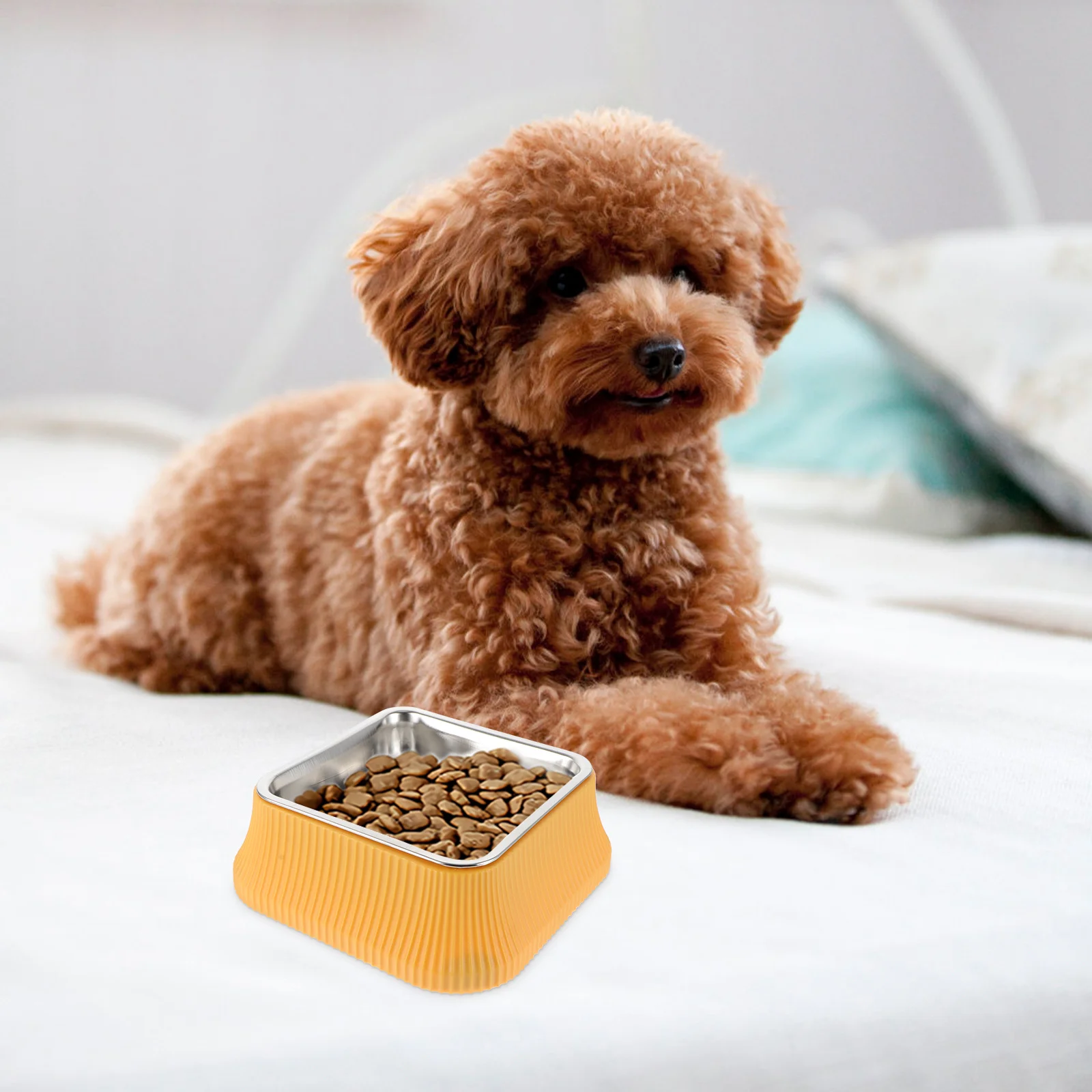 

Pet Food Bowl Anti-Tipping Durable Dog Feeder Cat Food Bowl Non-Slip Puppy Water Dish Dog Feeder Pet Water Dish