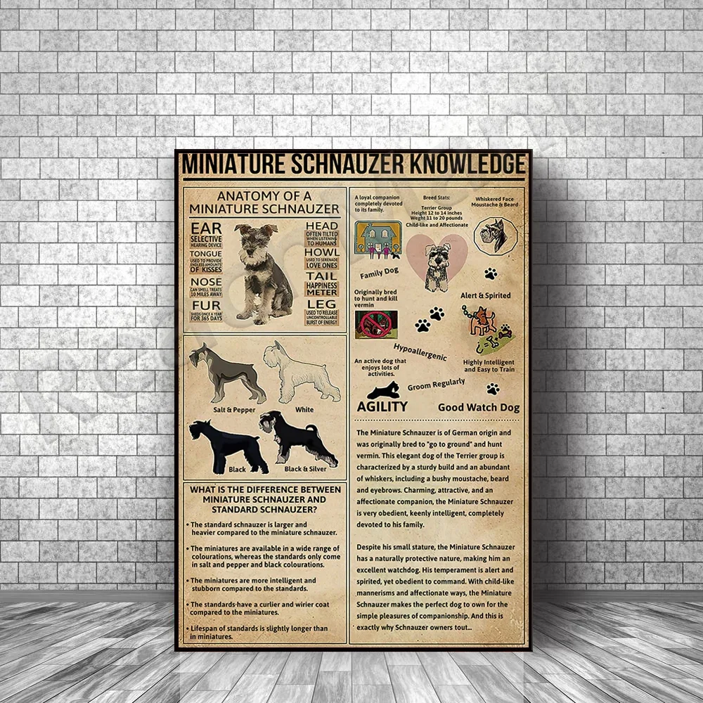 

Miniature Schnauzer Facts Vintage Frameless Vertical Poster, Miniature Schnauzer Facts Lover Gift Decorative Canvas Print Pictur