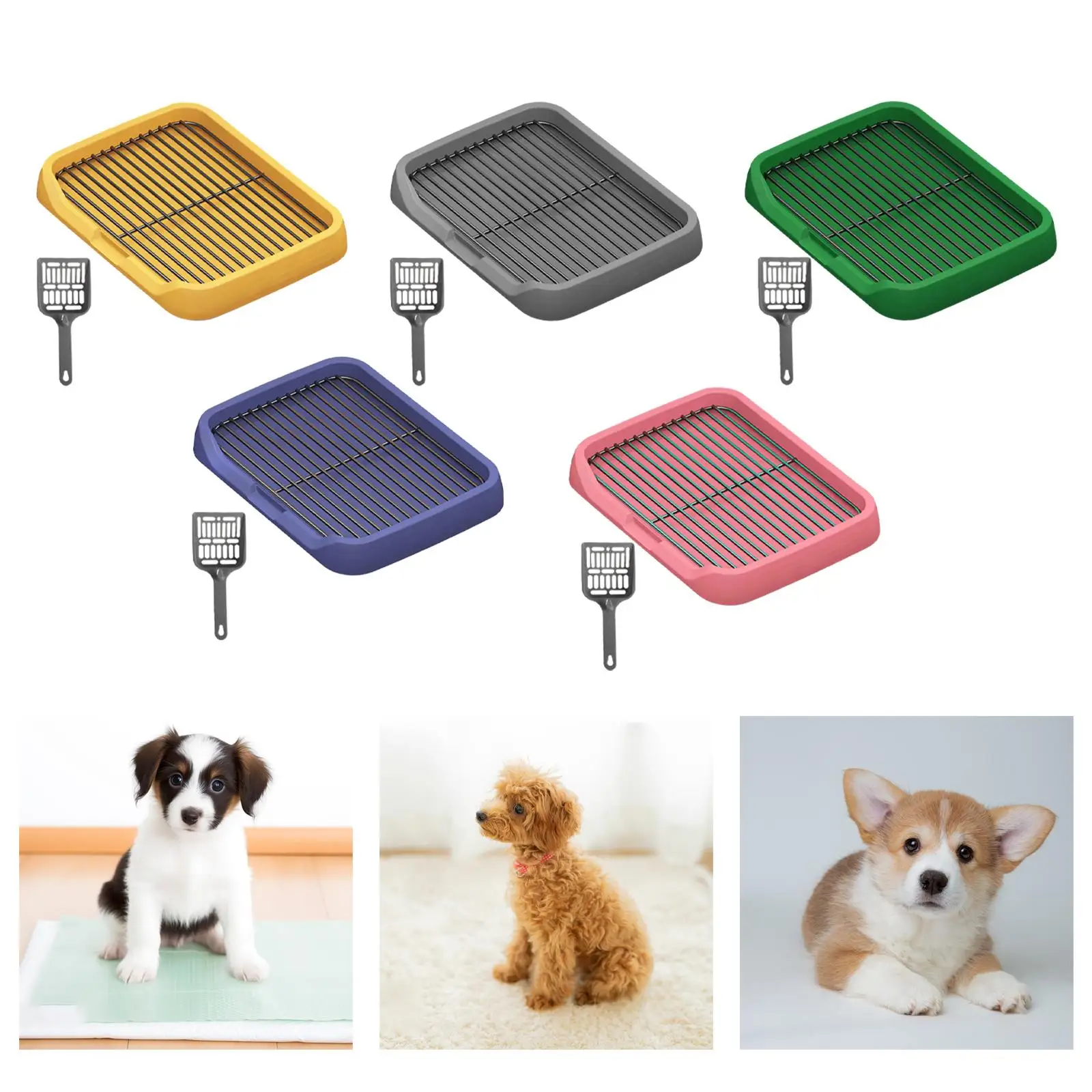 Inodoro portátil para cachorros: adiestramiento en casa - imagen 5