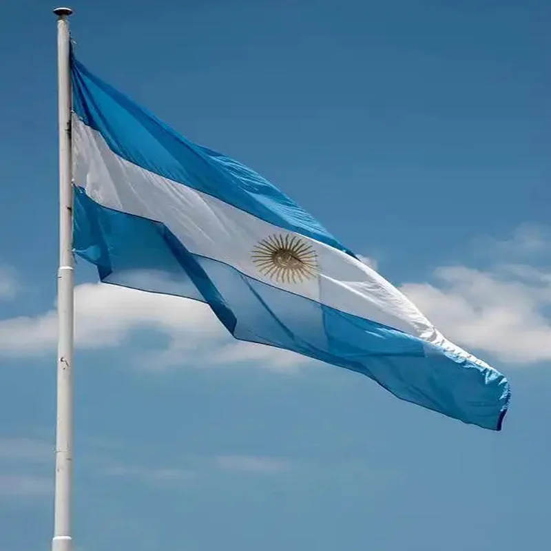 5 Pcs/Lot Argentina…