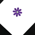 Púrpura