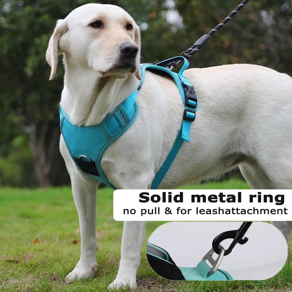 Thumbnail 3 - #34 Trending Dog Harnesses Right Now