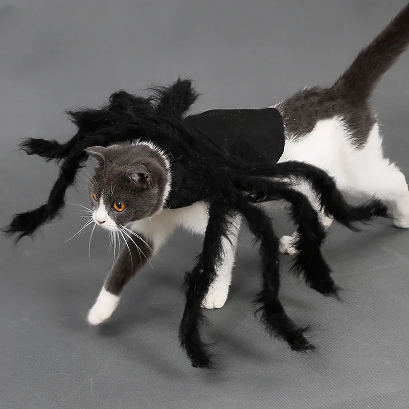 

Spider Costume for Pet Cats and Dogs, Cosplay Clothes, Halloween Party Costumes for Small and Medium Dogs