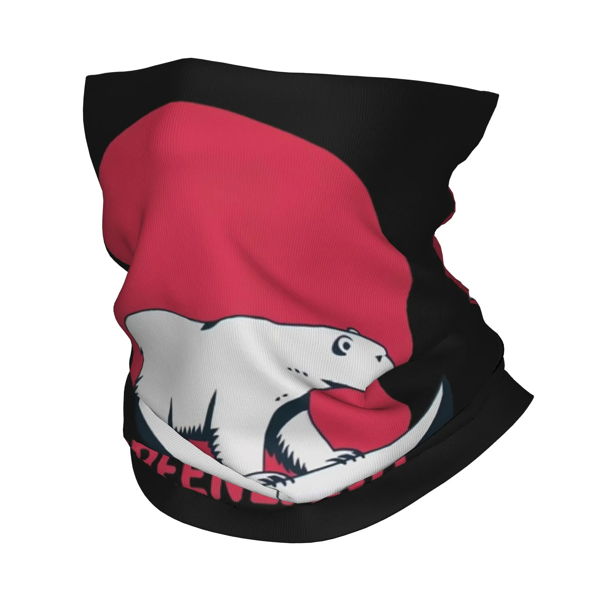 

Шарф-бандана «Гренландия не продается»: теплая ветрозащитная маска для лица унисекс для велоспорта