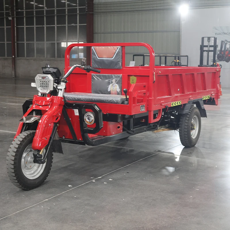 2025 Veicolo da trasporto in calcestruzzo per fattoria di carico per trasporto merci con triciclo da carico a 3 ruote a batteria