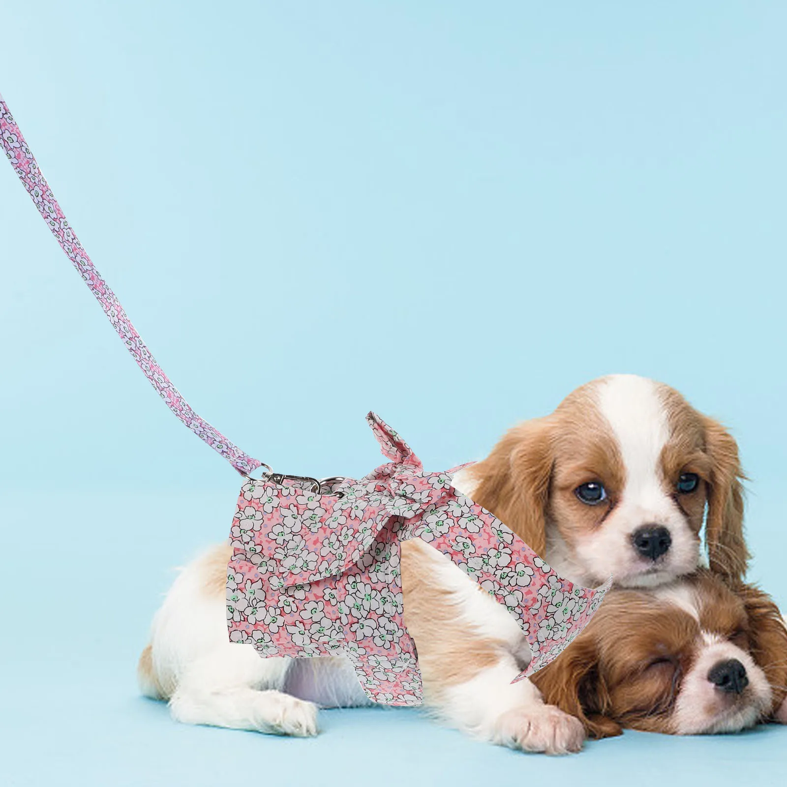 

1 Set Dog Harness Leash Set Puppy Outdoor Pet Supplies Adjustable Cat Leash Rope Small Medium Dogs Lightweight Escape Proof