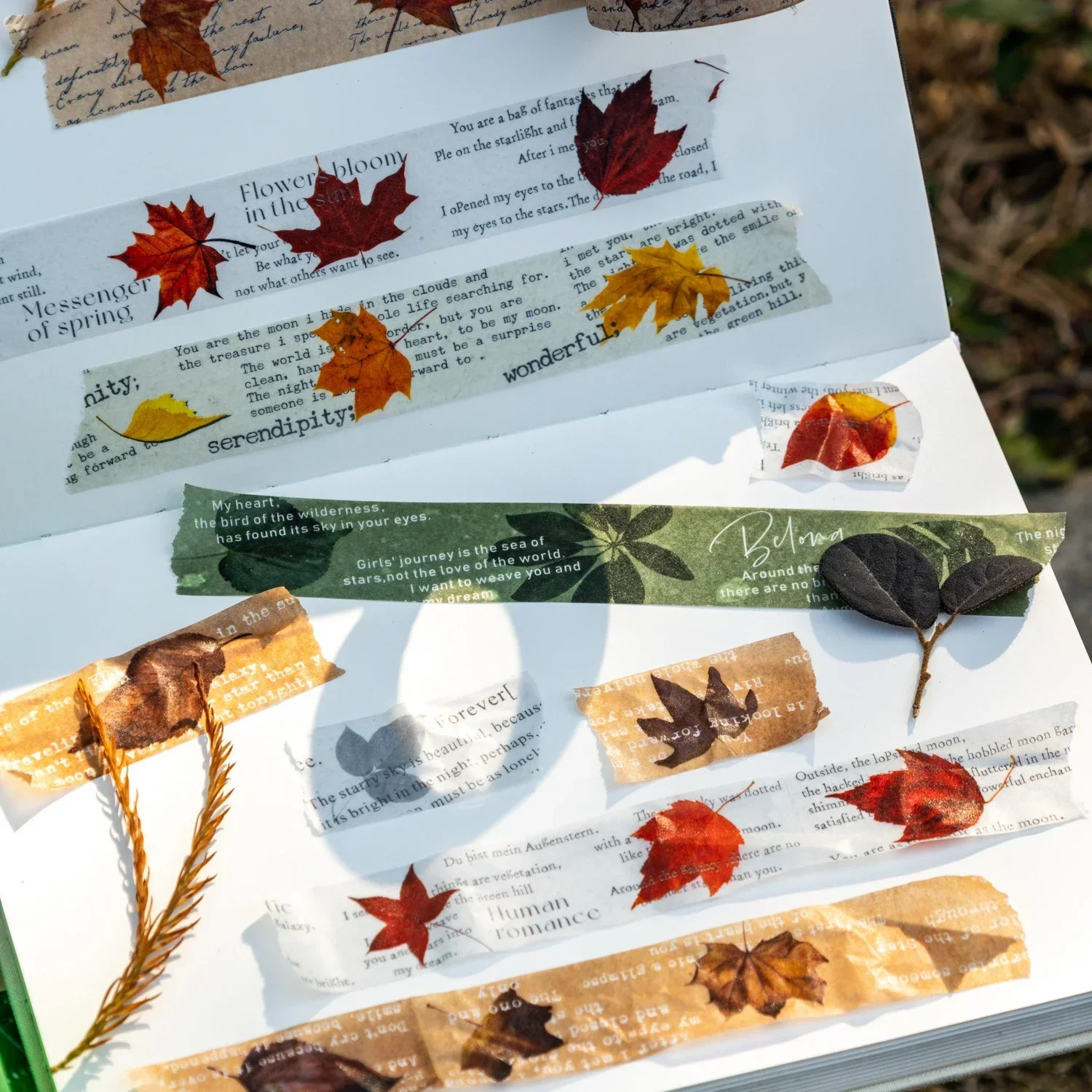 JIANWU 20mm*200cm A Poem of One Leaf Series Vintage Maple Leaf Material Collage Washi Tape Creative DIY Journal Stationery