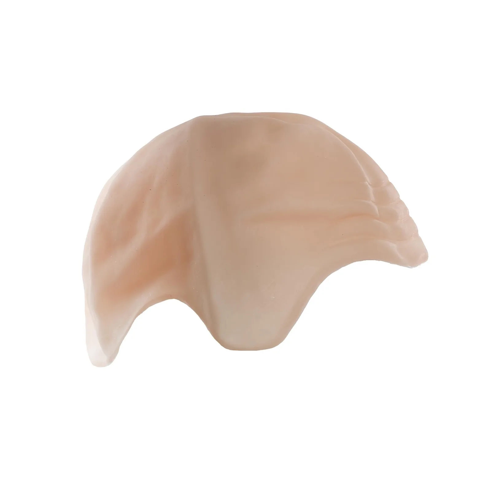 هالوين زي بيتبول تأثيري الدعامة عارية اللاتكس أصلع قبعة سوداء النظارات الشمسية السوداء زي مجموعة الإكسسوارات اكسسوارات الهالوين #5