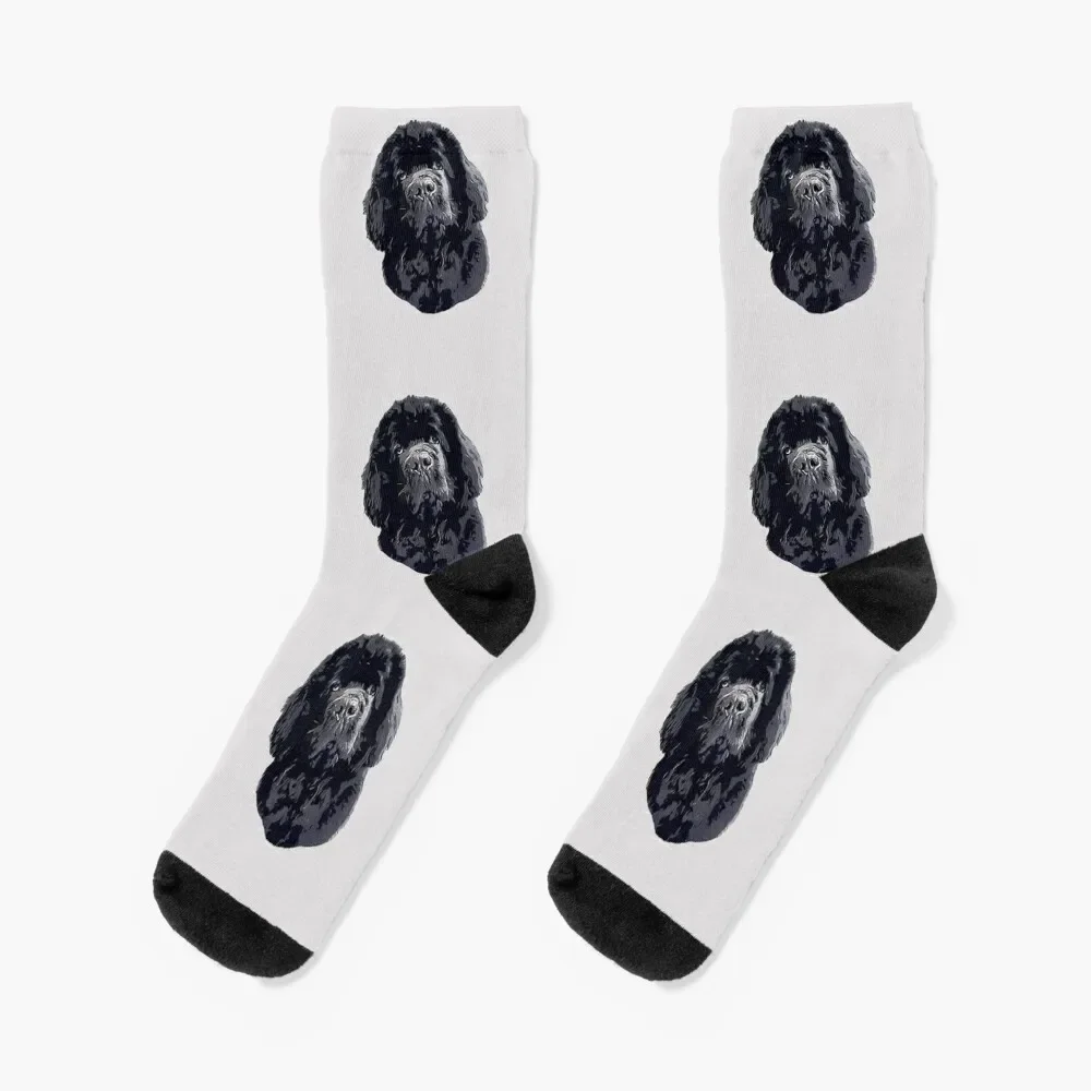 

Newfoundland Cute Head Tilt Socks heated Toe sports Socks Woman Men's