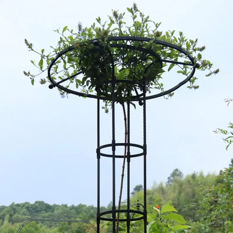 Vertical Metal Garden Plants Climbing Trellis Shelf Flower Tomato Support Rack For Vines Tomatoes Peas & Other Live Plants