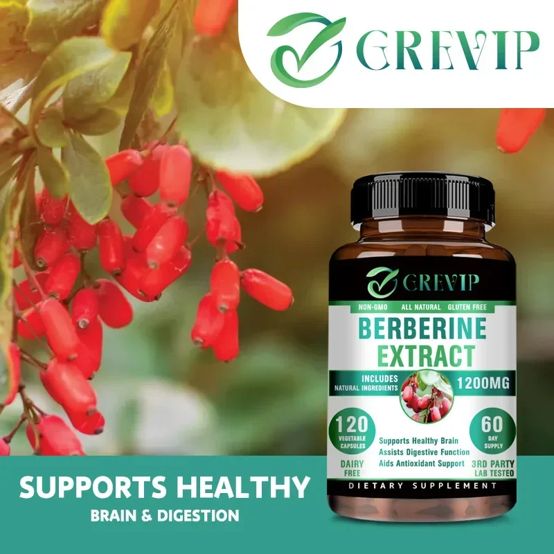 Berberine Extract - Supports Digestive System, Antioxidant, Enhances Cognitive Processes